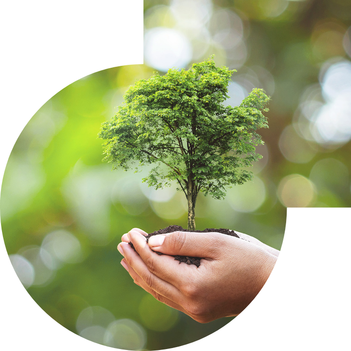 關懷人類、文化、環境與社會